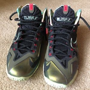 Nike Lebron 11’s “Kings Pride”